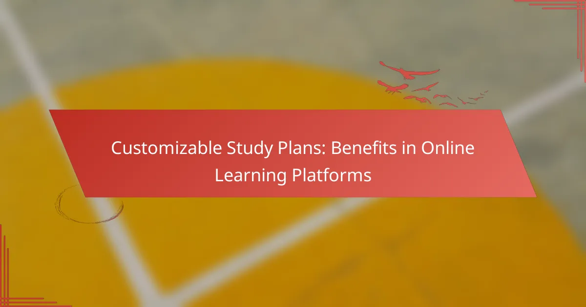 Customizable Study Plans: Benefits in Online Learning Platforms