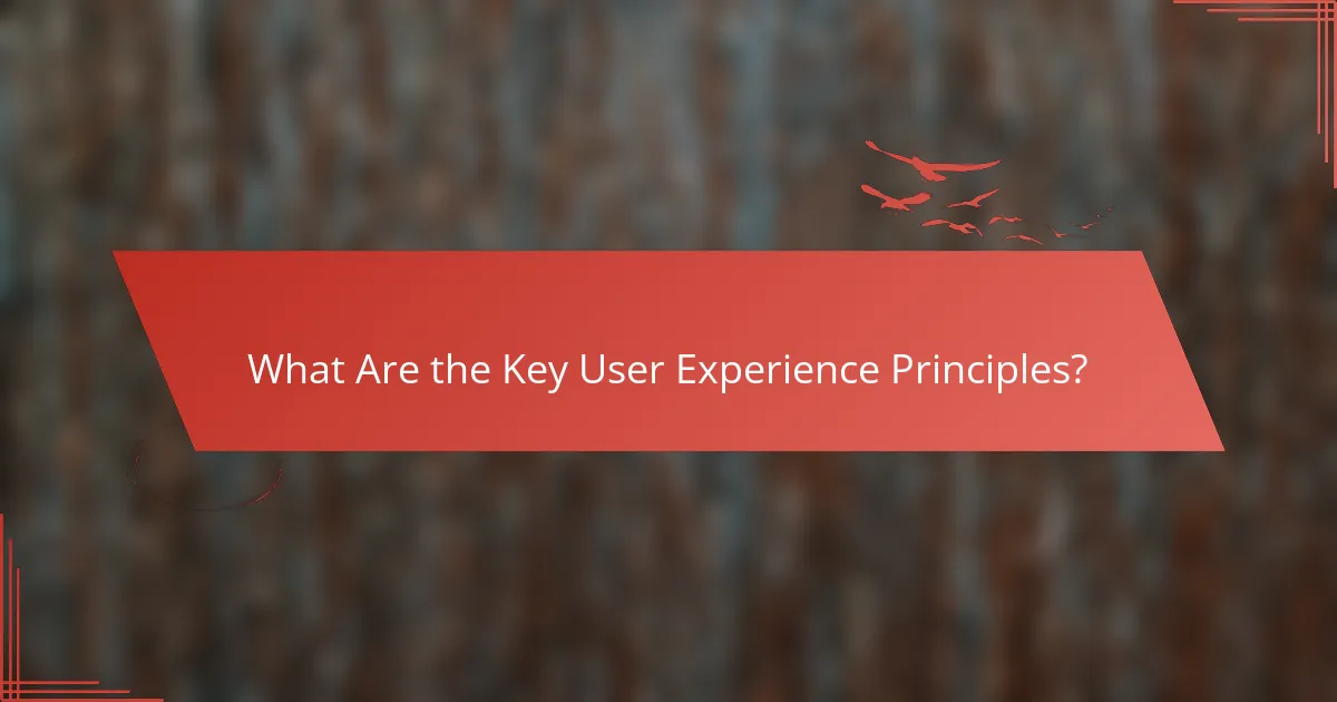What Are the Key User Experience Principles?