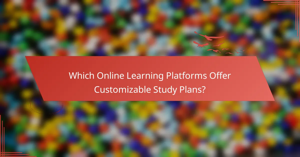 Which Online Learning Platforms Offer Customizable Study Plans?